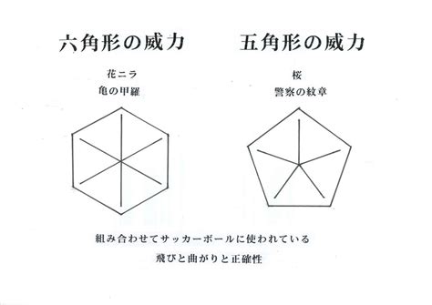 六角形 風水|六角形のスピリチュアルな意味は？水晶（鉱物）や蜂。